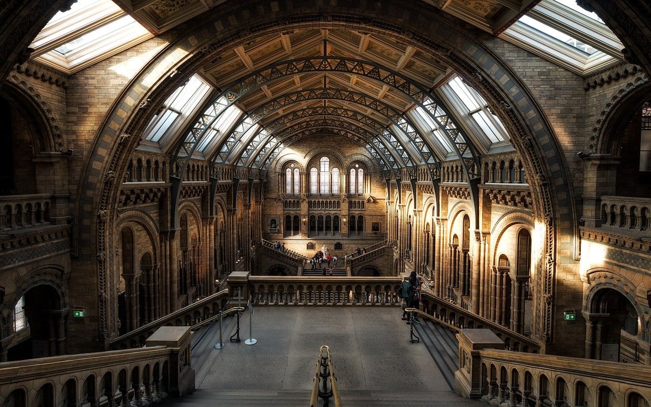 Inside Natural history museum